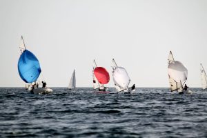 Vela119