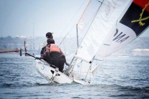 Vela31